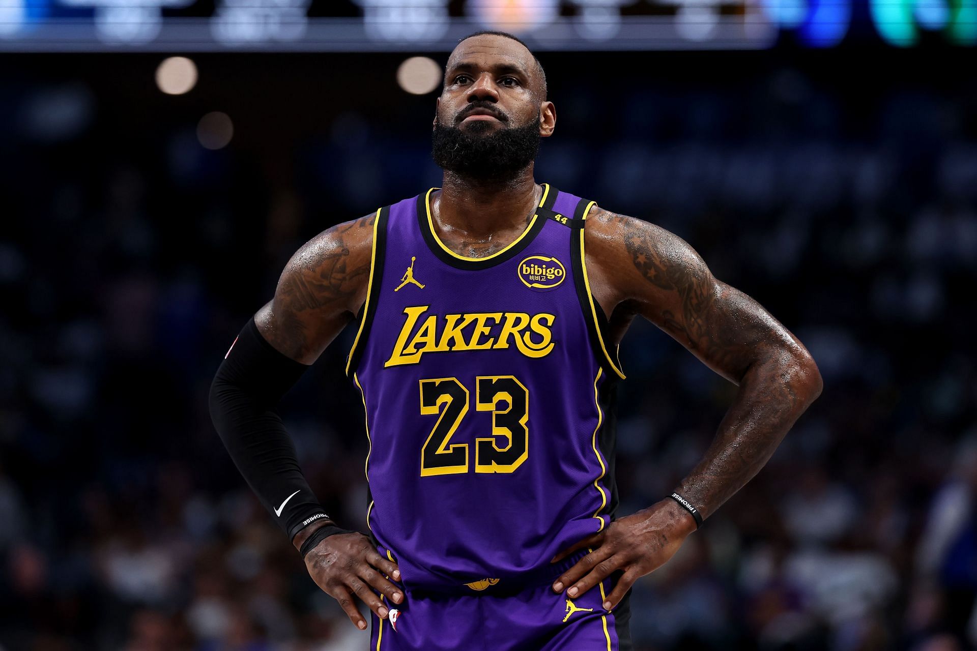 LeBron James Wingspan